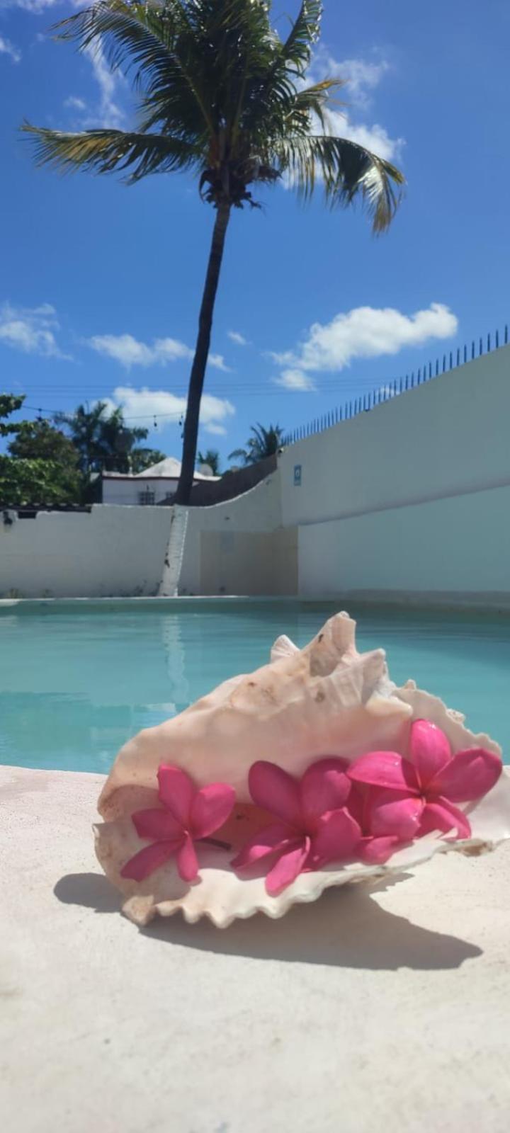 Hotel Coral แคนคูน ภายนอก รูปภาพ